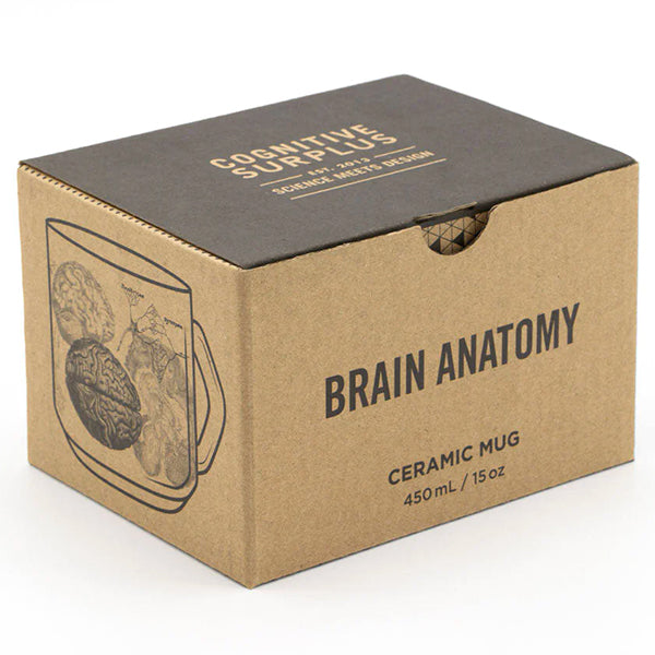 Brain Anatomy Mug