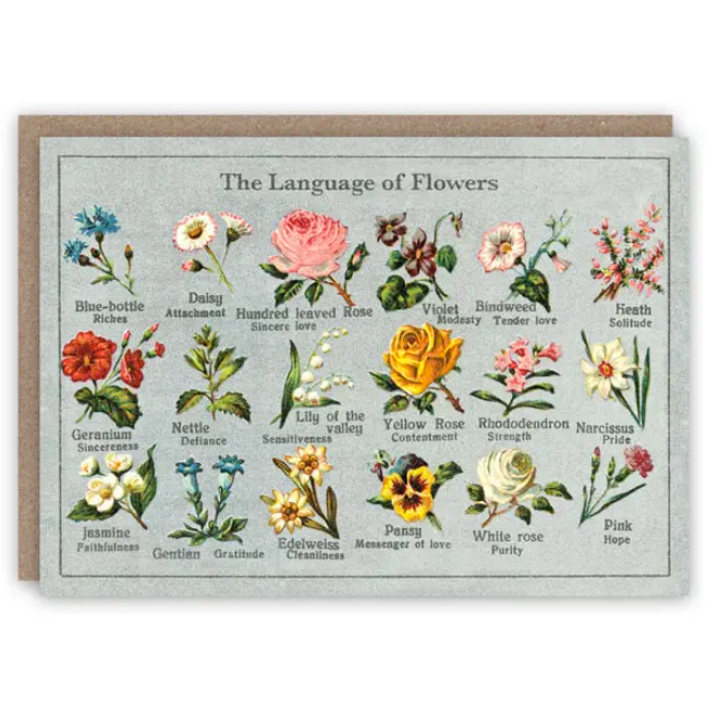 bind card meaning Language Of Flowers Card – Present Indicative