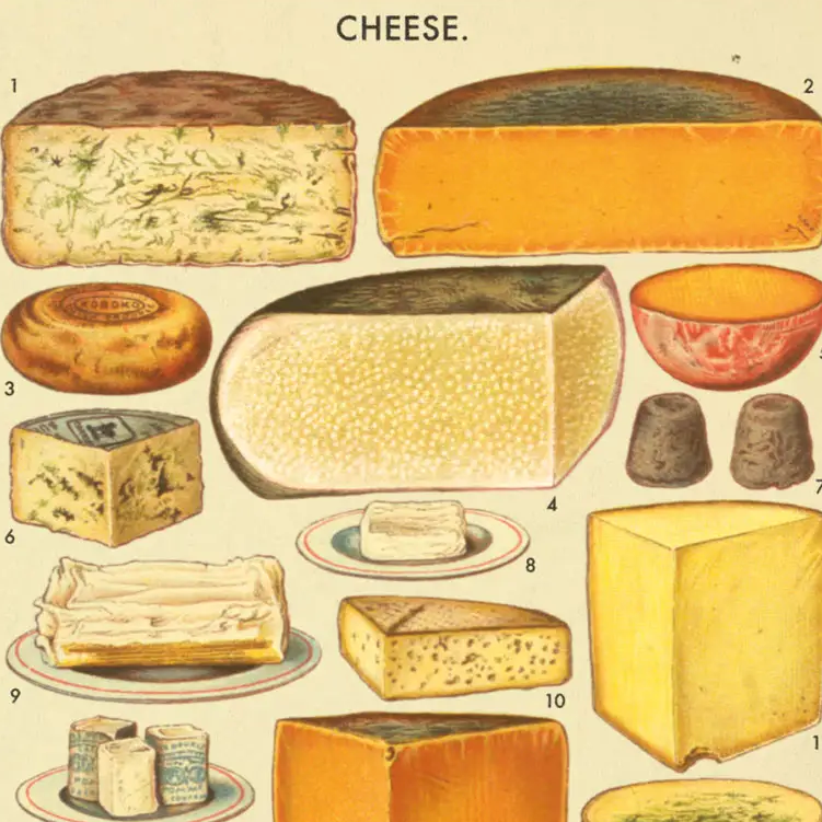 Cheese Card