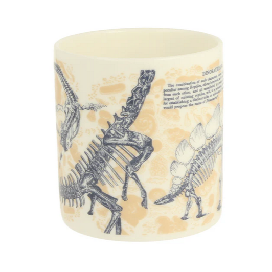 Paleontology Mug
