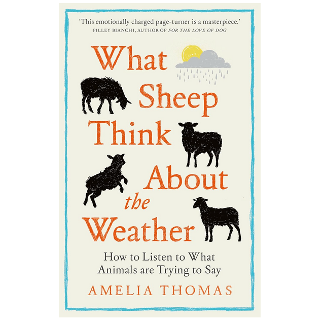 What Sheep Think About the Weather - How to listen to what animals are trying to say