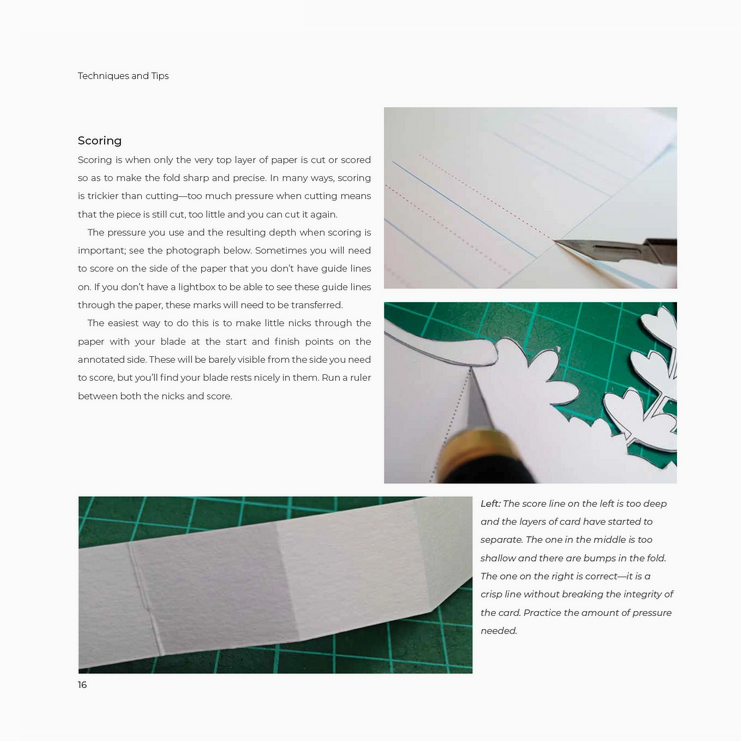 Papercutting - Geometric Designs Inspired By Nature