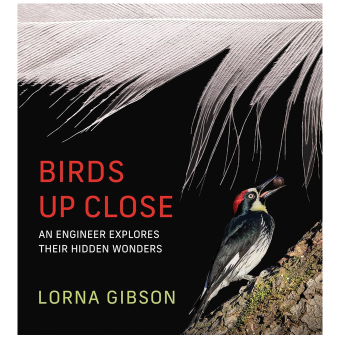 Birds Up Close