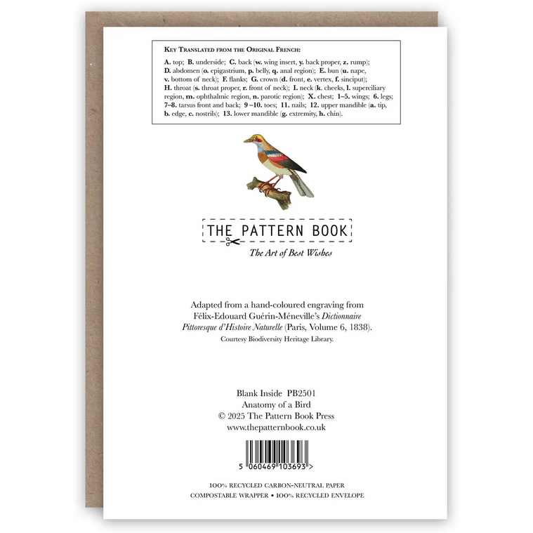 Anatomy of a Bird Card
