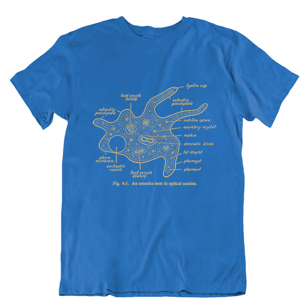 Amoeba Diagram Unisex T-shirt Blue Large