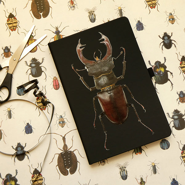 Stag Beetle Notebook