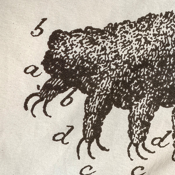 Tardigrade Engraving T-shirt