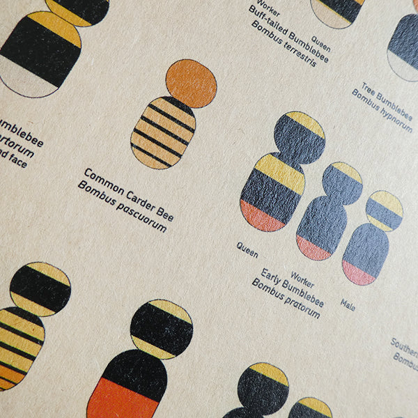 British Bumblebees Notebook