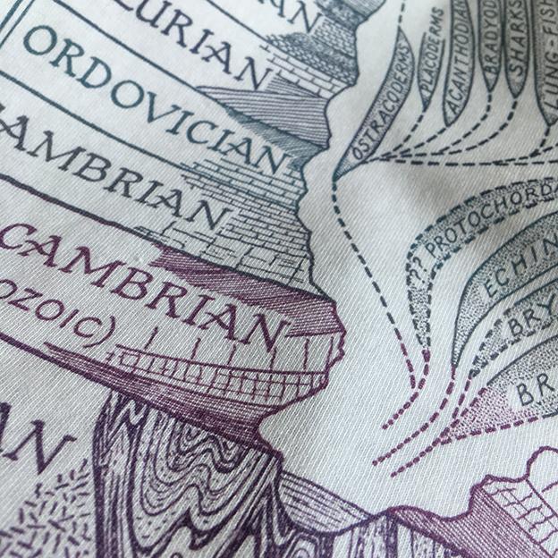 Evolution Emerging Children's T-Shirt