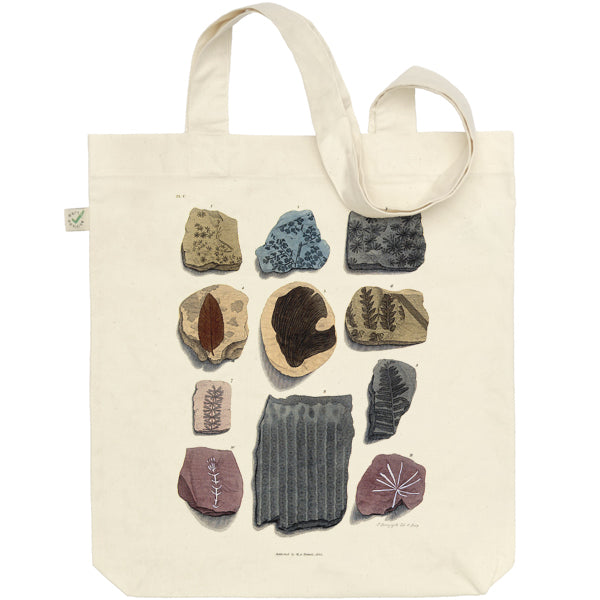 Eleven Fossils Tote Bag