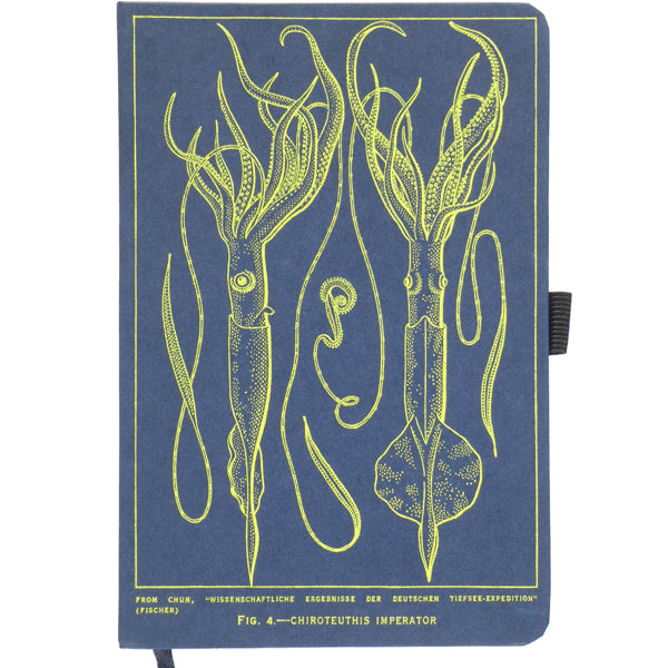 Emperor Squid A5 Kraft Notebook