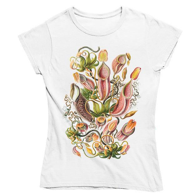 Nepenthaceae by Haeckel Women's T-shirt - Fitted
