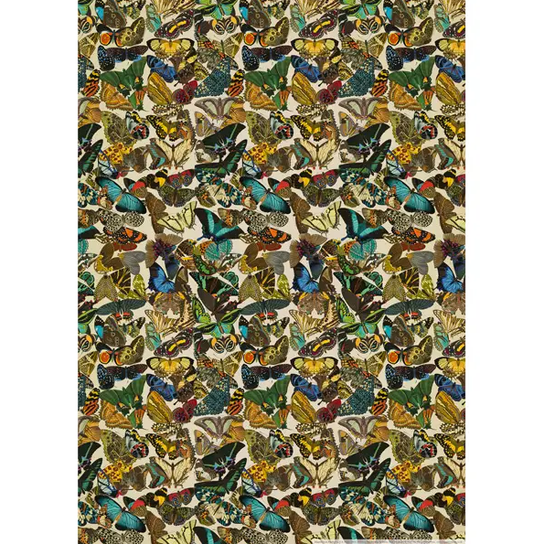 Butterflies Wrapping Paper