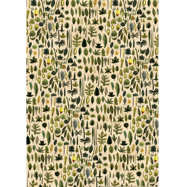 Leaves Wrapping Paper