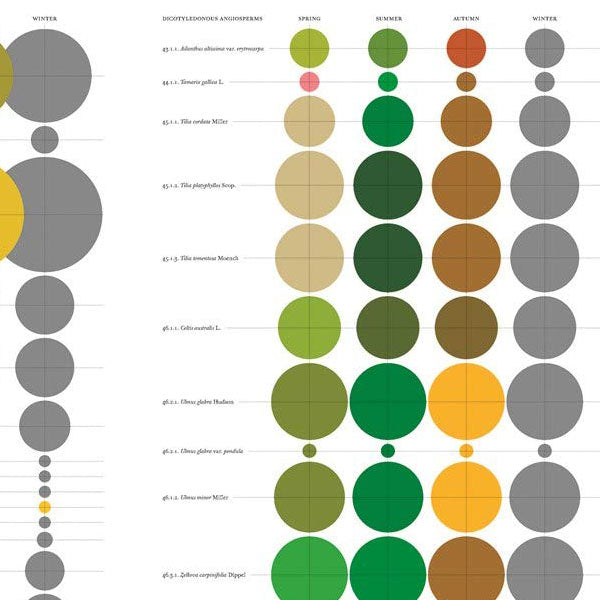 The Architecture of Trees