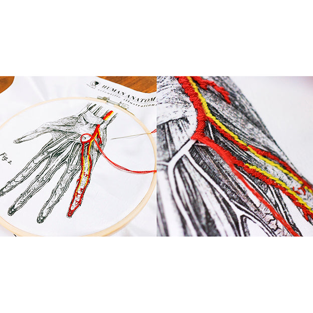 Blood Vessel Embroidery Kit