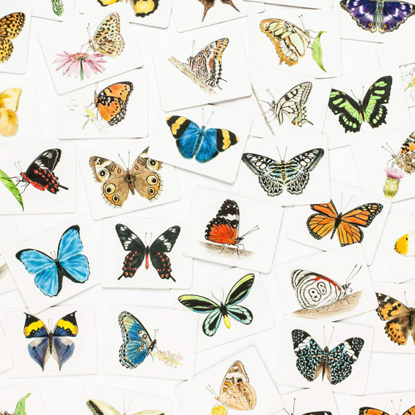 Butterfly Wings - A Matching Game