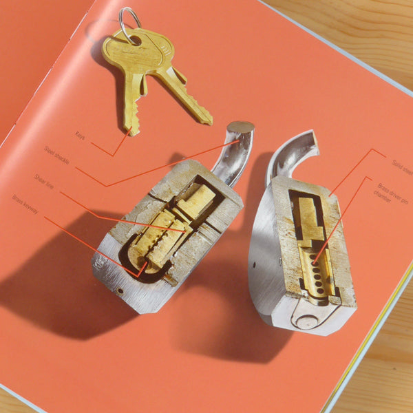 Cut in Half: Inside Everyday Objects