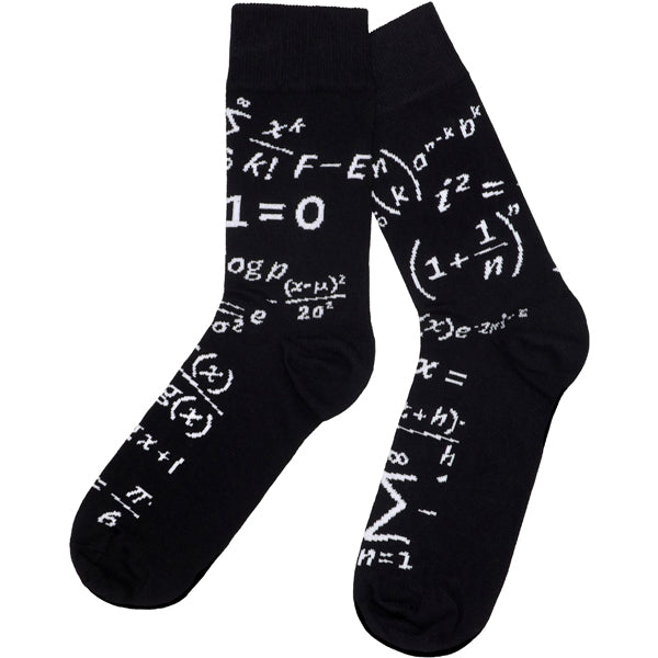 Equations That Changed the World Socks
