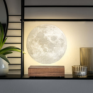 Moon Lamp - Natural Walnut