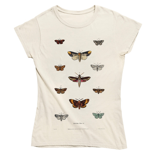 Moths Women's T-shirt