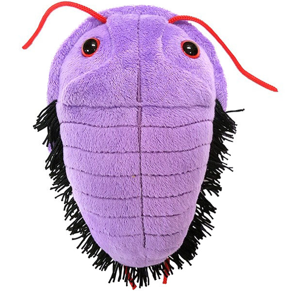 Trilobite - Giant Microbe