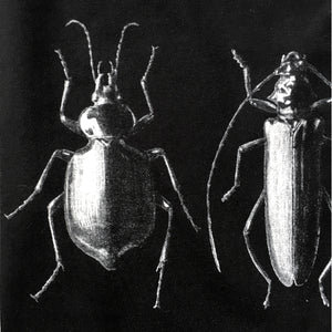 With The Coleoptera Unisex T-shirt