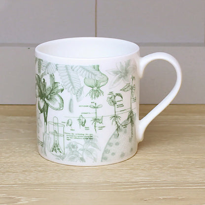 Botany Mug