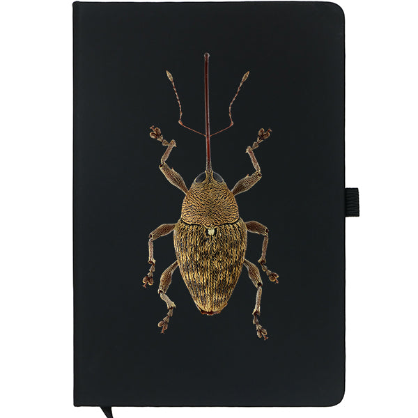 Acorn Weevil Notebook