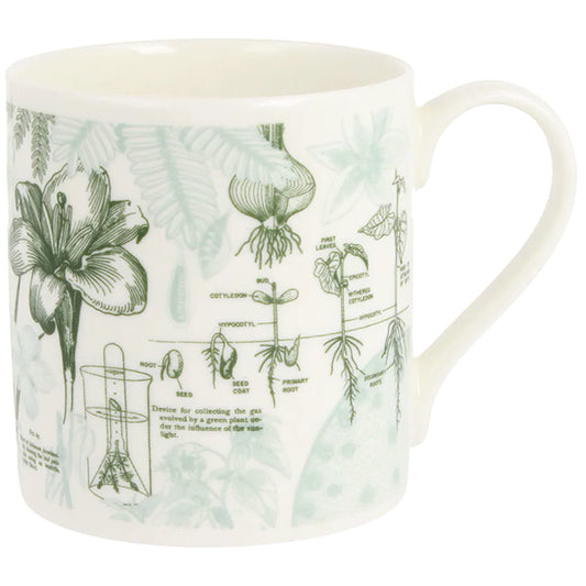 Botany Mug