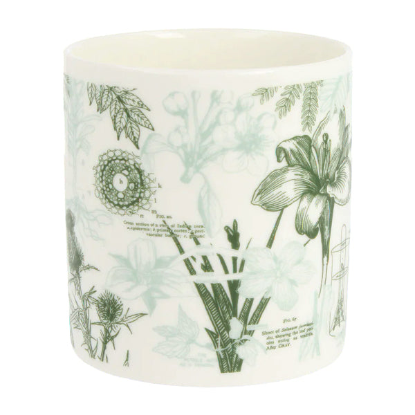 Botany Mug