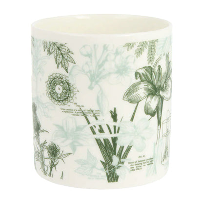 Botany Mug