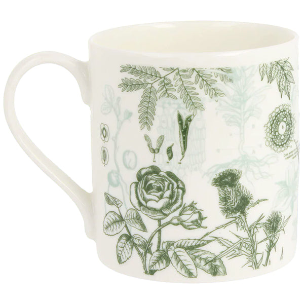 Botany Mug