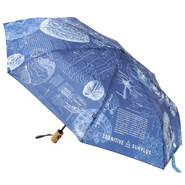 Brain Anatomy Umbrella