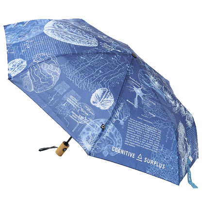 Brain Anatomy Umbrella