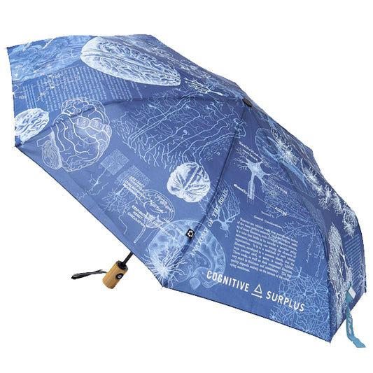 Brain Anatomy Umbrella