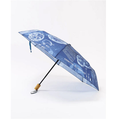 Brain Anatomy Umbrella