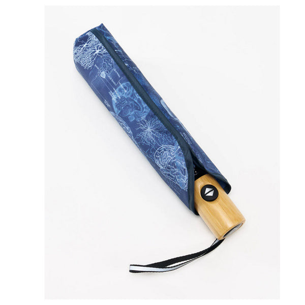 Brain Anatomy Umbrella