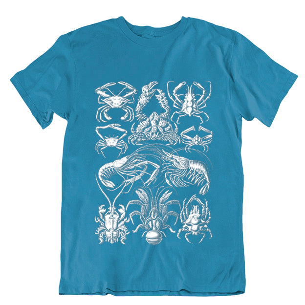 Decapoda Unisex T-shirt Turquoise