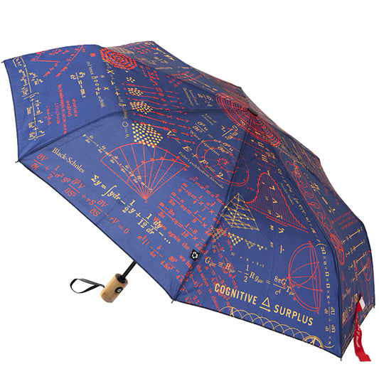 Equations that Changed the World Umbrella