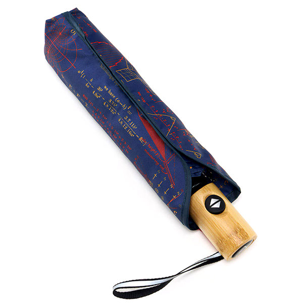 Equations that Changed the World Umbrella