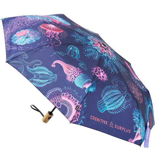 Haeckel Jellyfish Umbrella