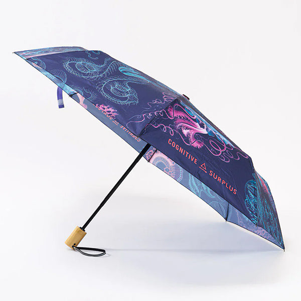 Haeckel Jellyfish Umbrella