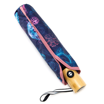 Haeckel Jellyfish Umbrella