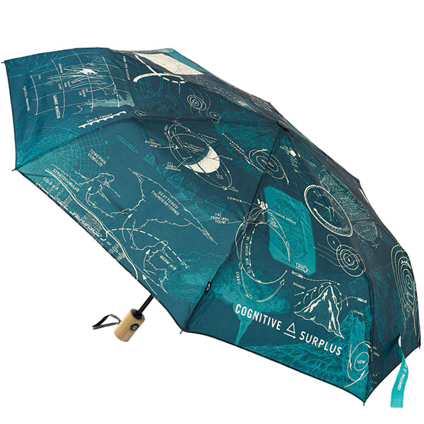 Meteorology Umbrella
