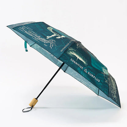 Meteorology Umbrella