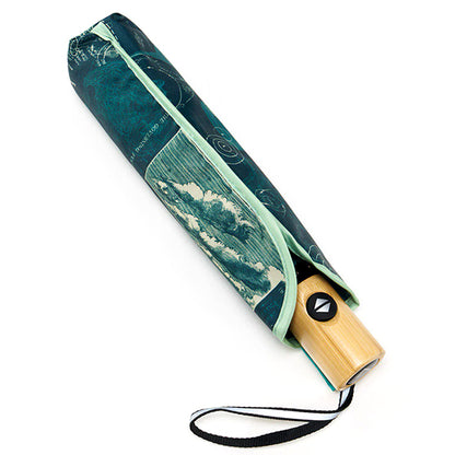 Meteorology Umbrella