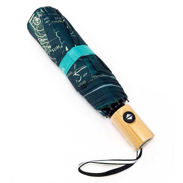 Meteorology Umbrella