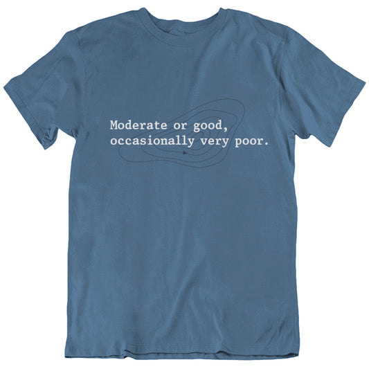 The Shipping Forecast: Moderate or good SECONDS (Indigo LARGE ONLY)