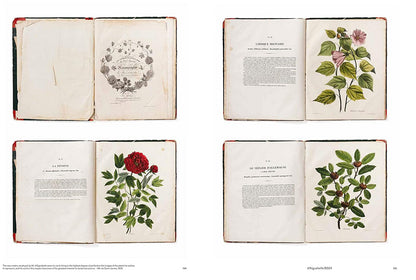 Capturing Nature: 150 Years of Nature Printing